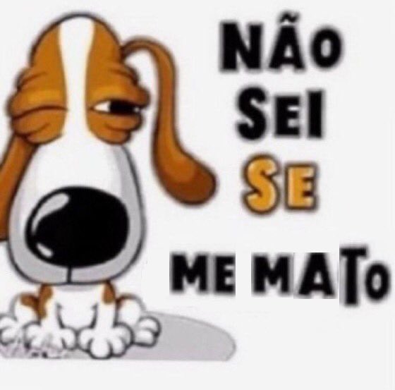 mori_bunda's tweet photo. tive que acessar o google fotos https://t.co/ruB0ECSbNd