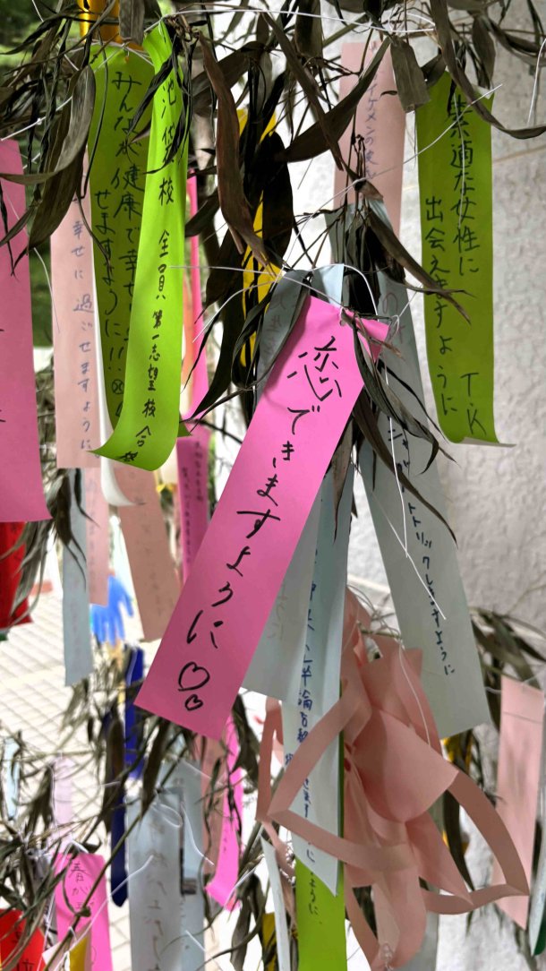 waseda_univ's tweet photo. 7月7日(火)の七夕の日、#所沢キャンパス に笹を設置し、学生や教職員が思い思いの願いを短冊に込めました🎋
自分の目標や大切な人への思いが書かれた色とりどりの短冊が笹を彩り、キャンパスは七夕らしい温かな雰囲気に包まれました🌟
https://t.co/E1NCvbRqWn
#早稲田大学 https://t.co/dpblStqJPv