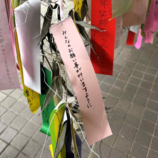 waseda_univ's tweet photo. 7月7日(火)の七夕の日、#所沢キャンパス に笹を設置し、学生や教職員が思い思いの願いを短冊に込めました🎋
自分の目標や大切な人への思いが書かれた色とりどりの短冊が笹を彩り、キャンパスは七夕らしい温かな雰囲気に包まれました🌟
https://t.co/E1NCvbRqWn
#早稲田大学 https://t.co/dpblStqJPv