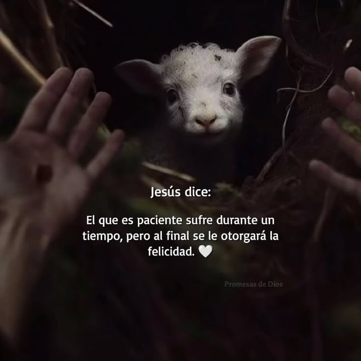 Nefisito's tweet photo. https://t.co/iIhQjVqTj6