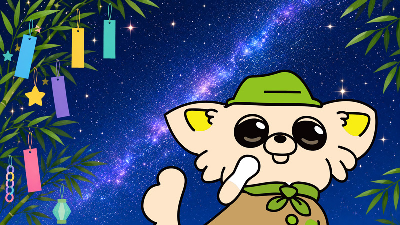 昨日は七夕だったわん！🎋🌌 おりひめさまとひこぼしさま会えたかな