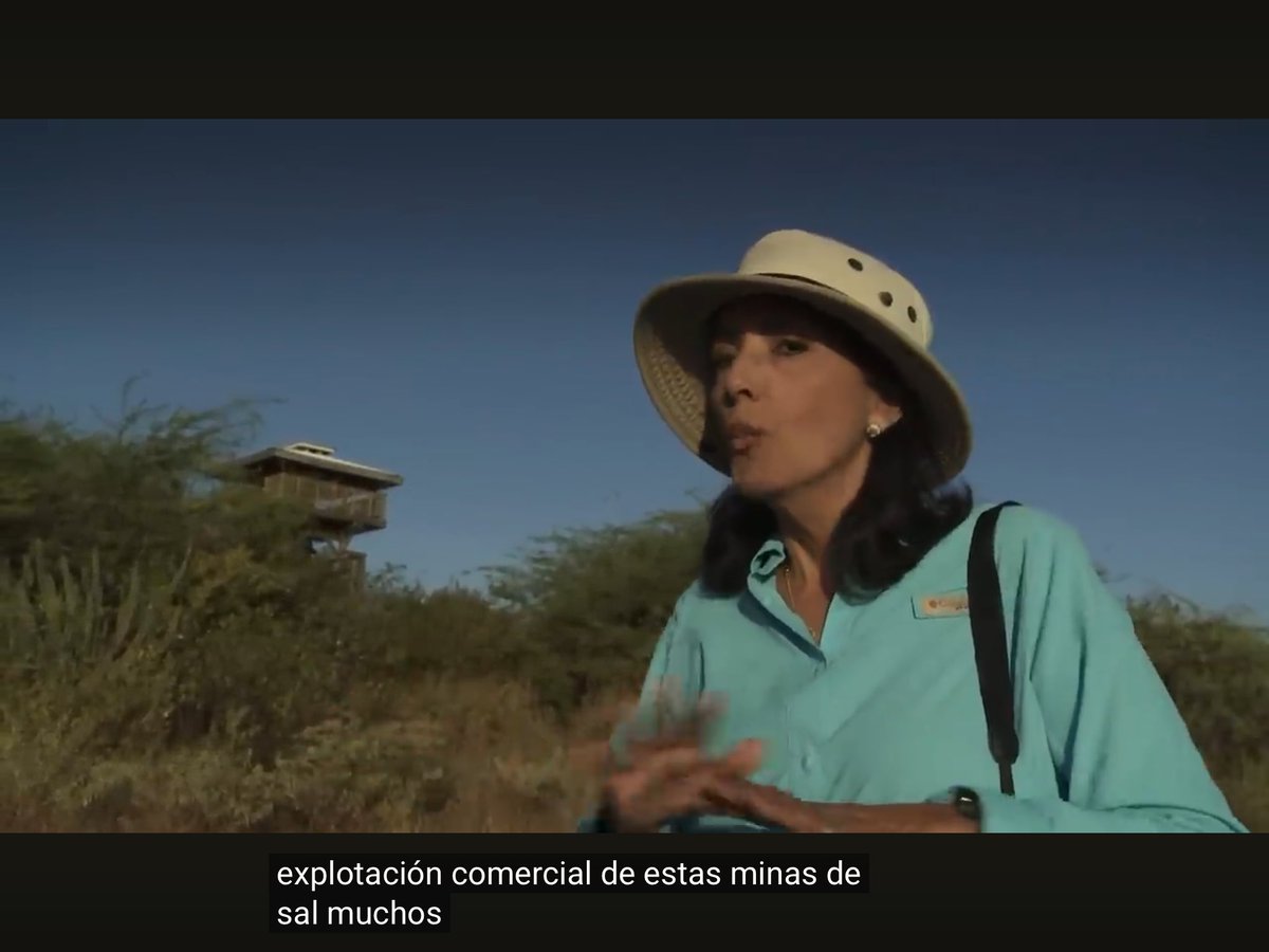 GeoAmbiente tweet media