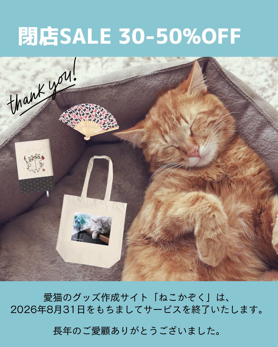 ねこかぞく (@nekokazoku222) / Posts / X