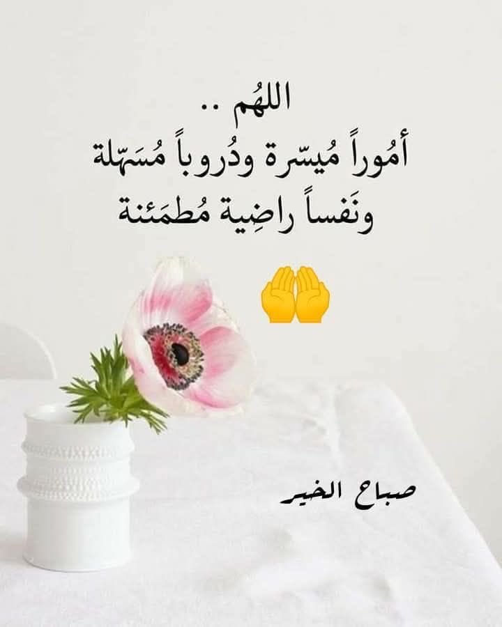 mahalblushy2000's tweet photo. #صباح_الخير_والسعادة #صباح_الخير 

🌟 القناعة راحةٌ لا تُشترى 🌟

“من امتلأ قلبه رضا، عاش غنيًّا ولو كانت الدنيا في يديه قليلة.” https://t.co/TJGPp46xHo