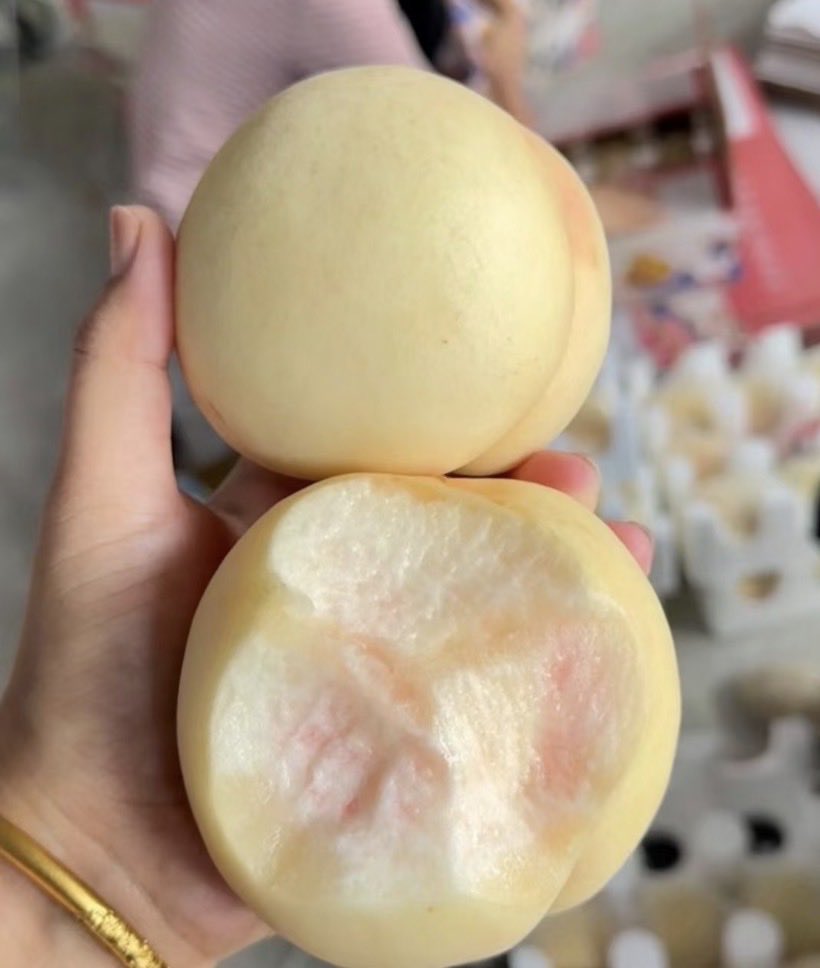 srbth43246427's tweet photo. 🍑白桃好き必見キャンペーン🍑
『日本産🍑白桃 10kg（15,000円相当）』
抽選で5名様にプレゼント🎁✨
【応募方法はこちら⬇️】
🍑 本アカウントをフォロー
🍑 この投稿をリポスト🔁＆いいね❤️
📅 応募締切：7/20 23:59
#懸賞 #キャンペーン #プレゼント #白桃 #桃 #もも #フルーツ #果物好き https://t.co/C0MSdW9IOe