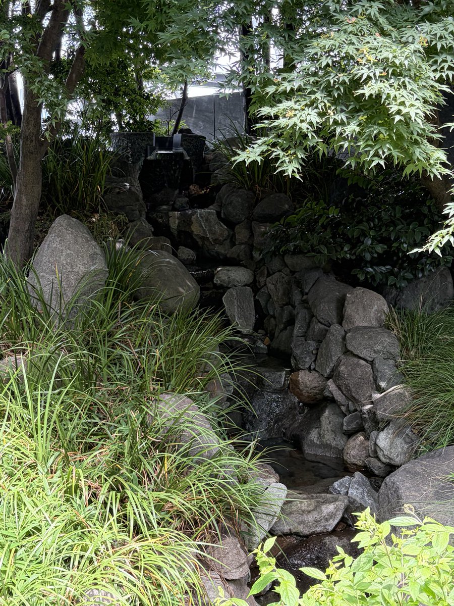 tadanowanwan's tweet photo. 池袋の巨大な吹き抜けビル。
上まで行ってみたら、屋上は森になっていた。小川まで流れているビルの上。 https://t.co/NqfrRWD409
