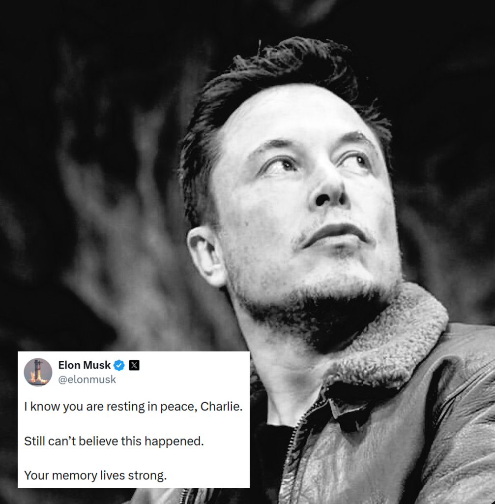 The Conservative Alternative tweet media