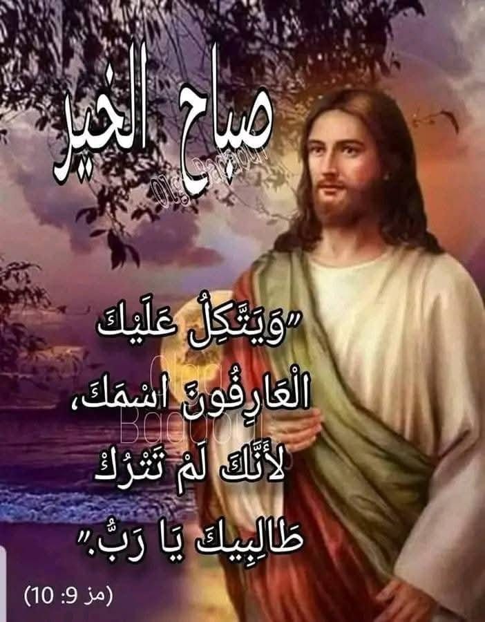 safwat2014azaz's tweet photo. https://t.co/GMvAWBqz6T