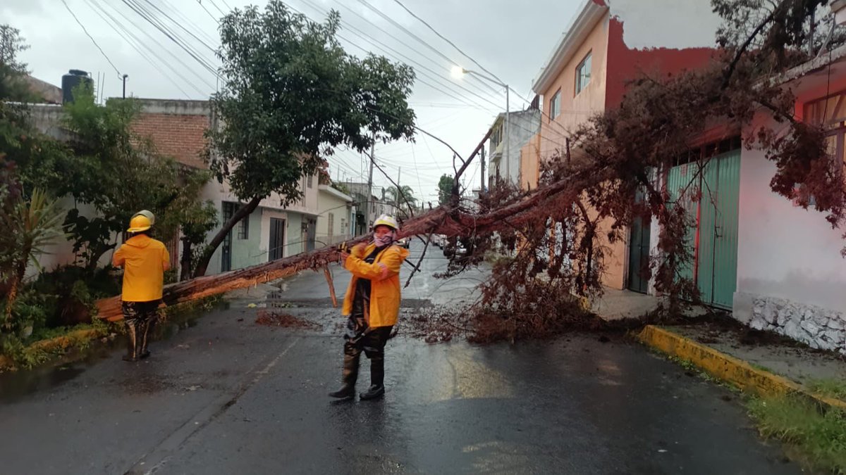 pepechedrauimx's tweet photo. Personal de #ProtecciónCivilMunicipal respondió de manera oportuna a los reportes por la caída de árboles en las colonias San Rafael de Oriente y Gonzalo Bautista. 🌳

Nuestro equipo realizó las maniobras necesarias para retirar las ramas y liberar las zonas afectadas, sin que se registraran personas lesionadas. ✅

📞 Ante cualquier emergencia, comunícate al 9-1-1 o al 072.