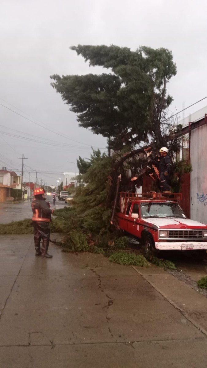 pepechedrauimx's tweet photo. Personal de #ProtecciónCivilMunicipal respondió de manera oportuna a los reportes por la caída de árboles en las colonias San Rafael de Oriente y Gonzalo Bautista. 🌳

Nuestro equipo realizó las maniobras necesarias para retirar las ramas y liberar las zonas afectadas, sin que se registraran personas lesionadas. ✅

📞 Ante cualquier emergencia, comunícate al 9-1-1 o al 072.