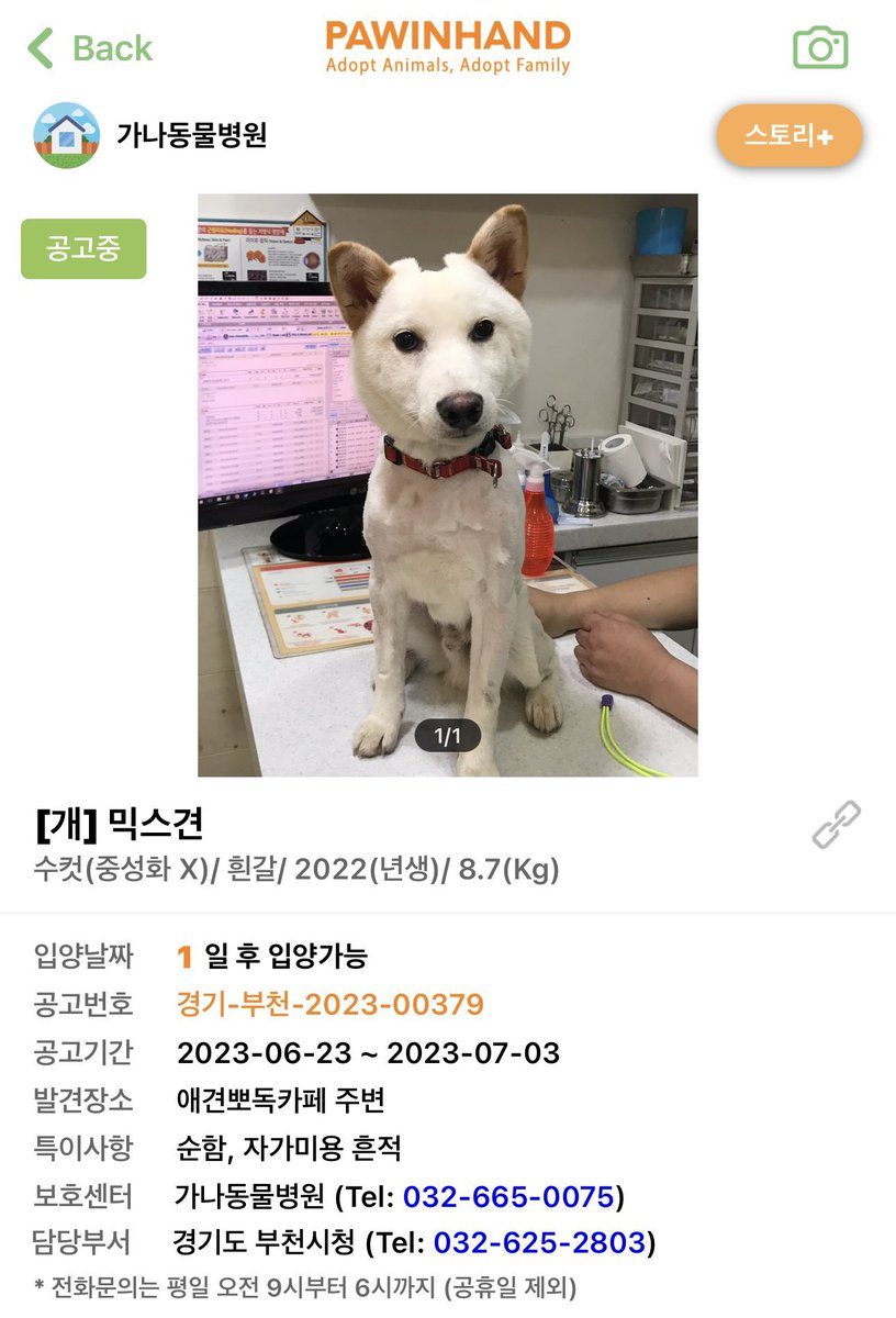 xiaosix1's tweet photo. 옛날에 포인핸드에서 봤던 강아인데
얼마나 순했으면............... https://t.co/2HzdOHYYZW