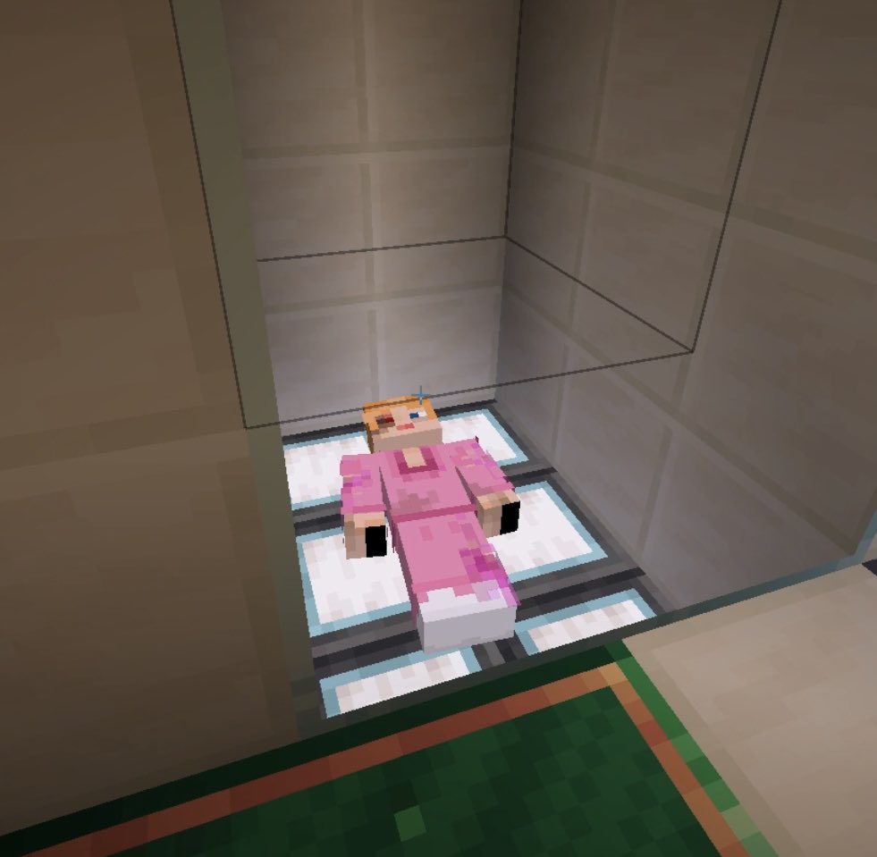 deityktb's tweet photo. #qsmp2 https://t.co/Q1ULqsvAOv