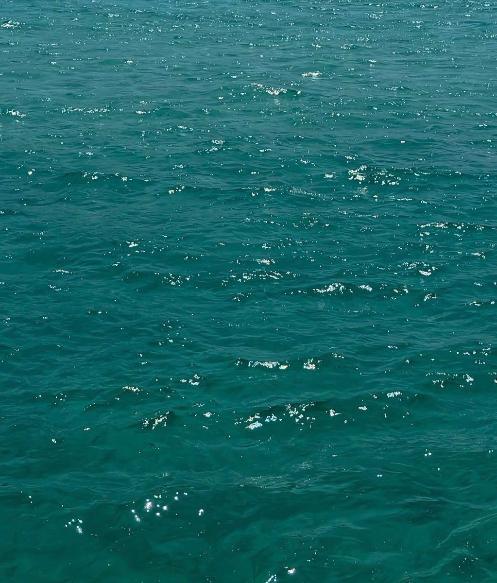 purelivn's tweet photo. when the sun makes the water glitter https://t.co/jMBp68bIG2