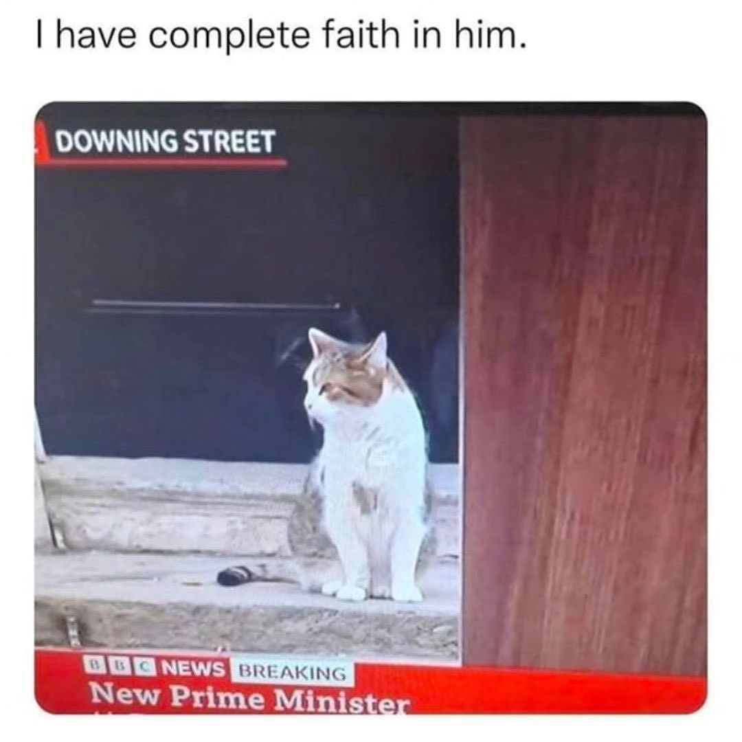 PunchingCat's tweet photo. https://t.co/e67FaocSOT