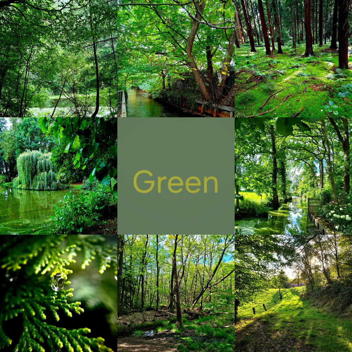 chriz31_07's tweet photo. Green..🌿

#nature https://t.co/burRhzOtaO