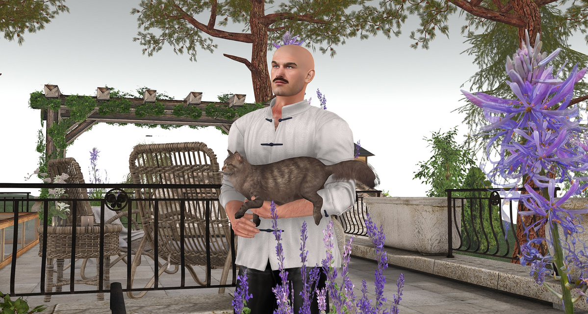 SchnurriDoeMiau's tweet photo. Siehst Du, Liebster, it was actually a good idea to pet your cat 😽 @BraveSirAulitz
Lookie, I even match the wicker chairs, colour-wise. 😺
#kcd2sl #markymark #kittysfluffytail https://t.co/vcSLF4kGYV