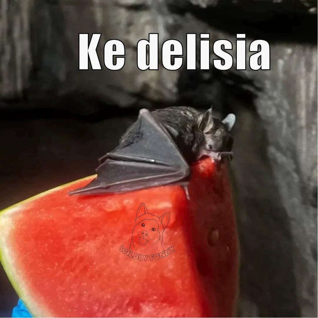 WildlyFunnyOff's tweet photo. Yo en cuanto veo fruta: https://t.co/otQByLu6bG