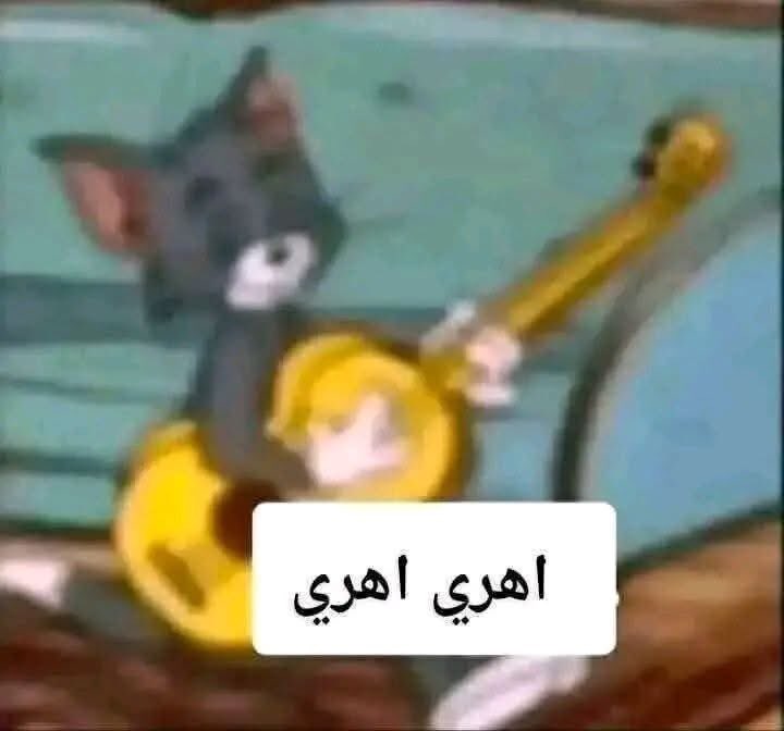 كو ستا tweet media