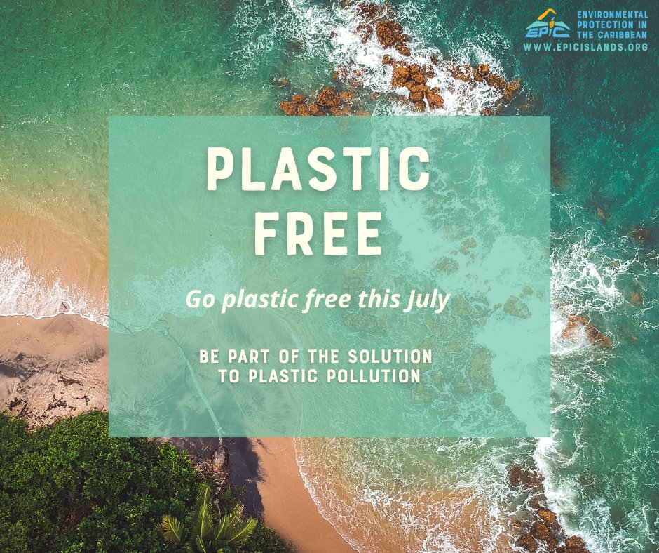 EPICislands's tweet photo. 🌊 It's Plastic Free July!

Small changes can have a big impact. Carry a reusable bottle, bring your own bag, skip single-use plastics, and help protect the Caribbean's beaches, oceans, and wildlife.

How will you go plastic free this July? ♻️💙

#PlasticFreeJuly  #EPICislands https://t.co/KUS4Tj4Bpn