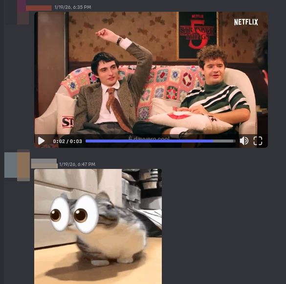 the bonk mail 📬 tweet media