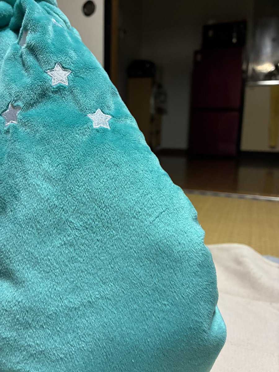 SUTERIA6's tweet photo. 冷蔵庫を遠くから眺めてる織姫の図
(もしかしてあの冷蔵庫の中に特上のお菓子があるひめ？)
お菓子では無いけど特上のブツがあの中にある
(ブツってそんなこわい人みたいな言い方しないで欲しいひめ) https://t.co/Yglhd6qy6J