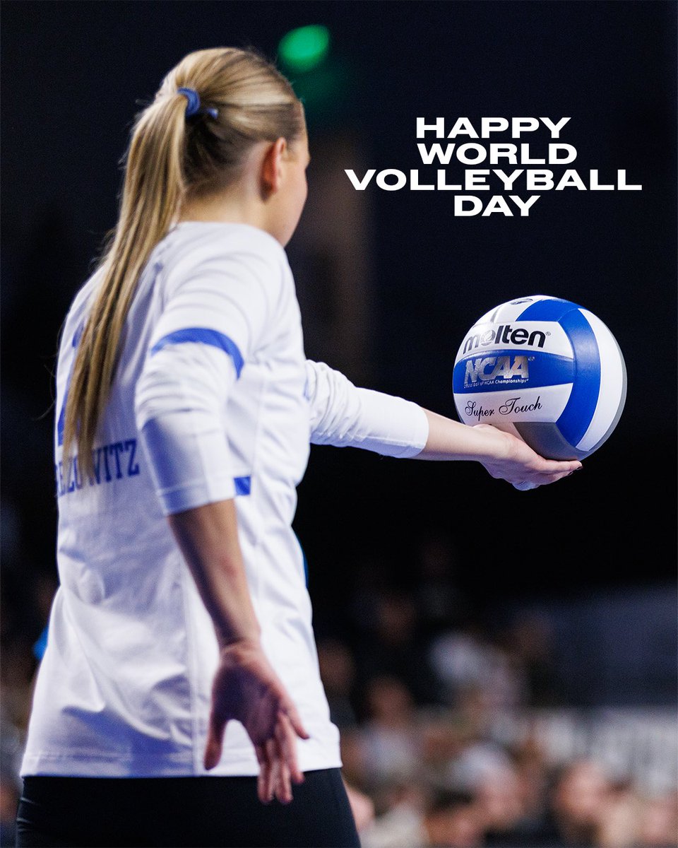 Kentucky Volleyball tweet media