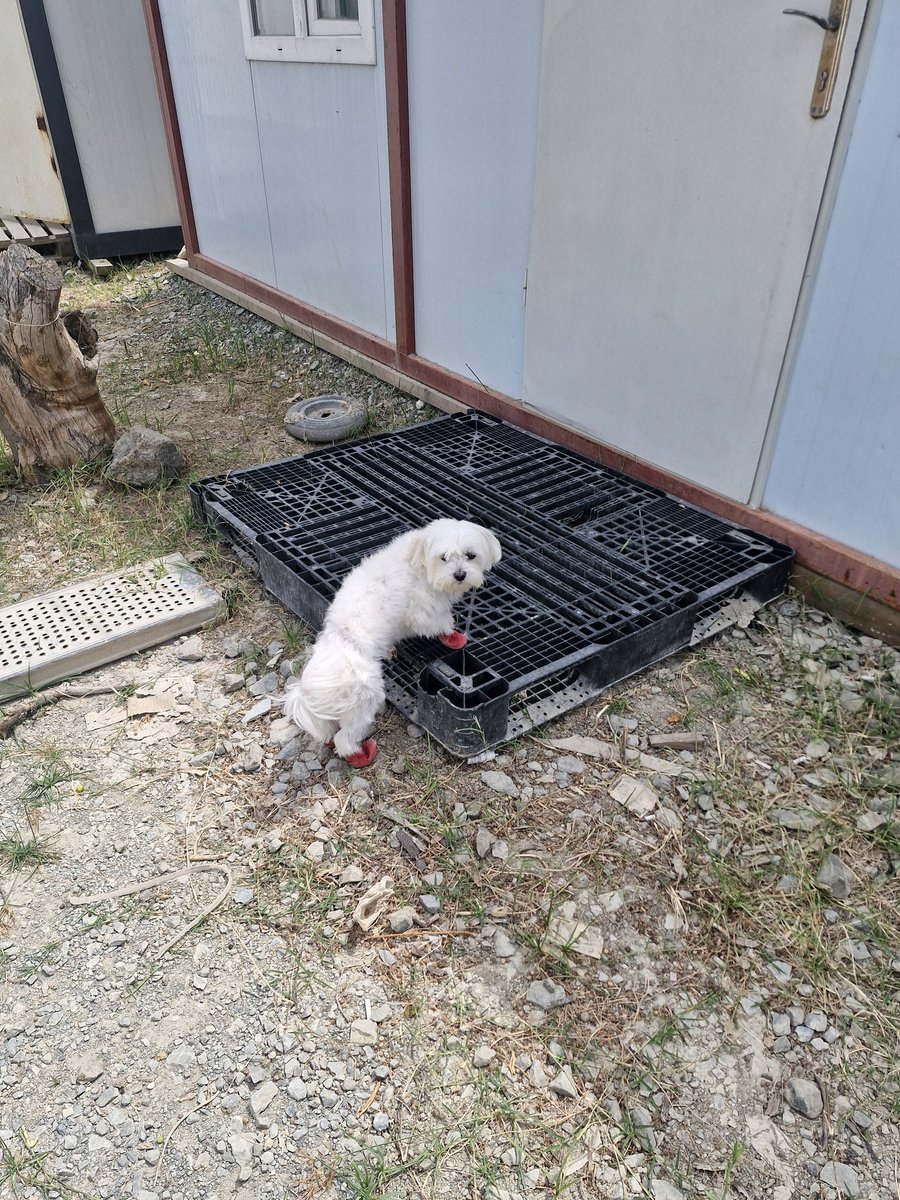 ipek_0599's tweet photo. 🥹🦋🧡 https://t.co/pTi1hSmaR8