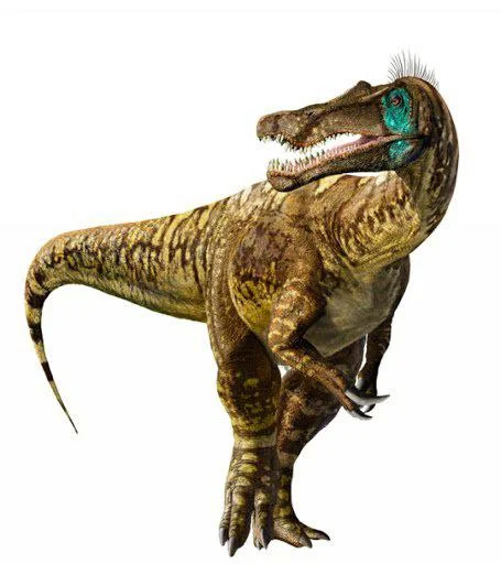 DracSaurArtwrk's tweet photo. The female was surprisingly fast, the male is the one who intrigues me, all those ochre patterns and protofeathers will be work. https://t.co/8BSDfSRZHH