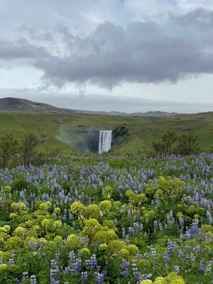 echoesofworld's tweet photo. Iceland https://t.co/lHN3YL34dP