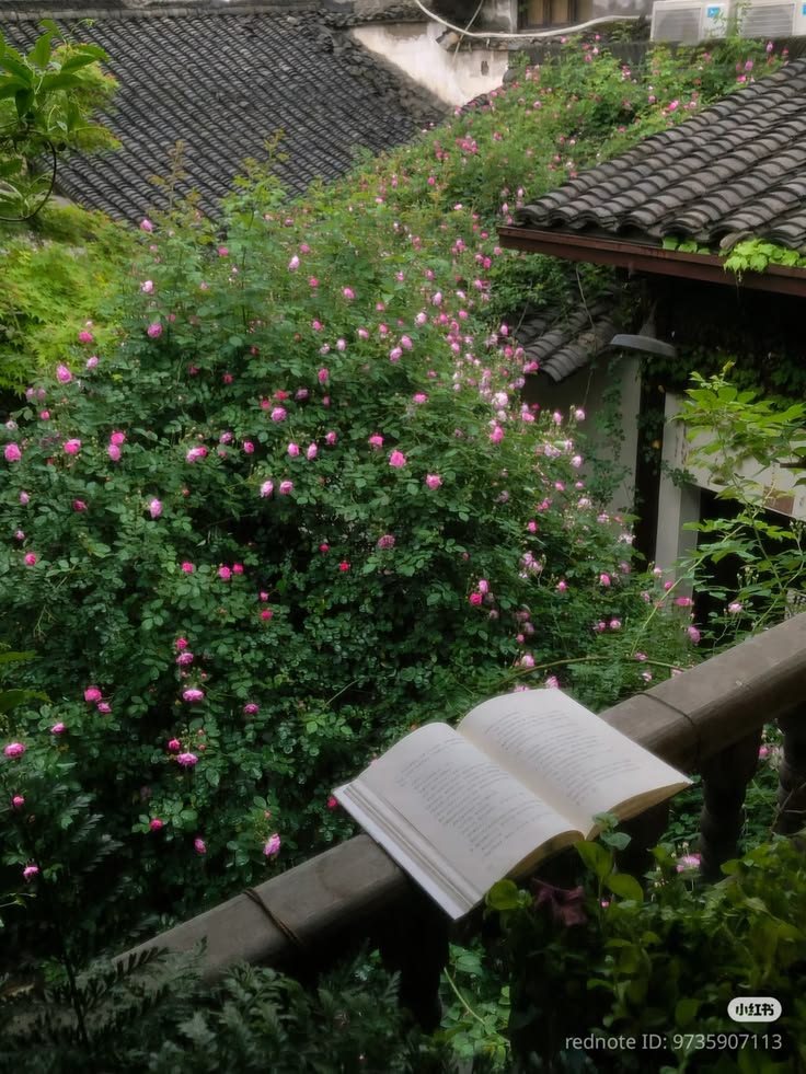 greenvibe's tweet photo. Books and flowers, that's my plan. https://t.co/bM6nYev4RO