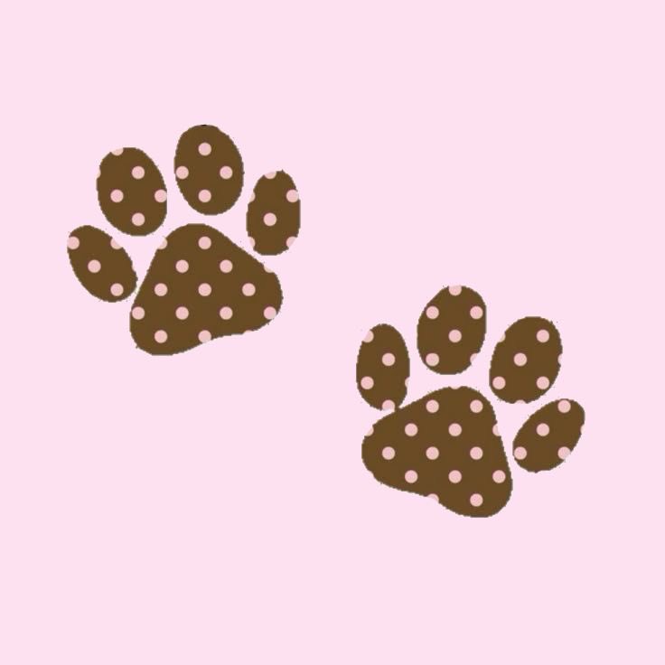 mariesplaypen's tweet photo. 🦴 ─── ･ ｡ﾟᰔ : . 🤎 . : ᰔ. ─── 🦴

  🐾 say hello, marie!• woof!• 25 • ᰔ 
               good puppy girl sharing her favorites ᰔ DMs open for moots • 18+ only • keep it sweet

🦴 ─── ･ ｡ﾟᰔ: . 🤎 . : ᰔ. ─── 🦴 https://t.co/MiZpb34ckH
