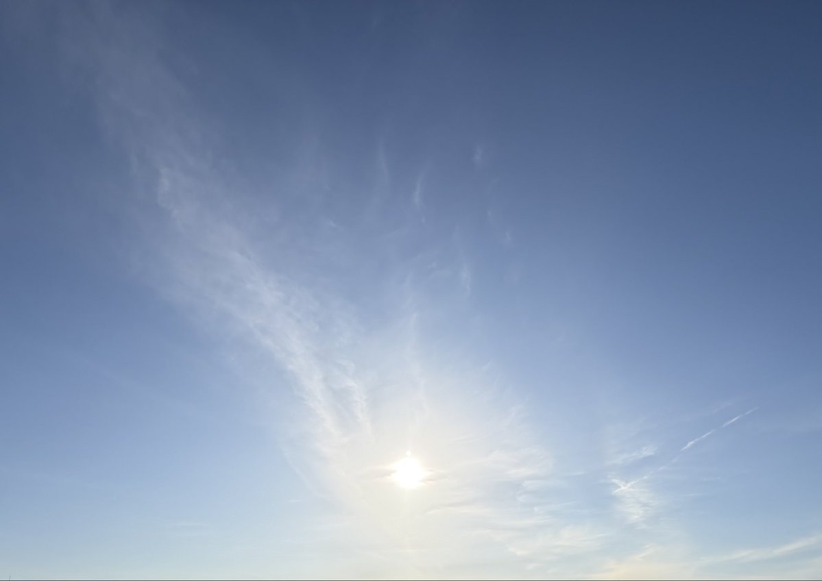 hirocat722's tweet photo. おはよう☀
気持ち良い晴れの空

太陽と月🌿

#太陽
#月
#イマソラ
#青空 https://t.co/jcc5hbzfXh