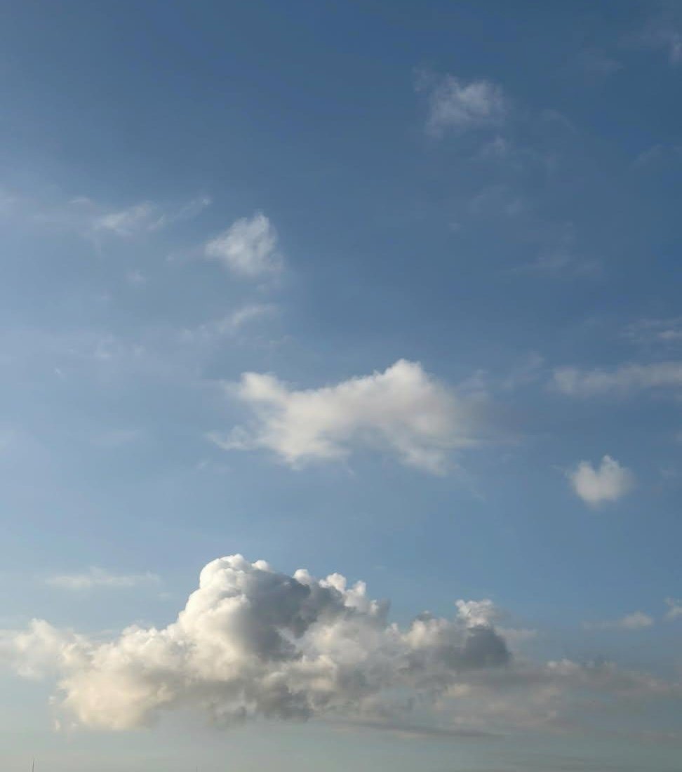 mana_3063's tweet photo. “自然の中で生きてる”
ってことを
忘れたくないなって思う.

今日の空も
草木や風も香りも
今だけの色をしている.

おはようございます🐇
am5:55の空☁ https://t.co/spzF7fOKhU