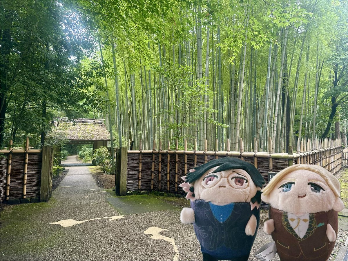 maya_syuu's tweet photo. 6月旅の思い出🍡 https://t.co/NkXGiRyrAt