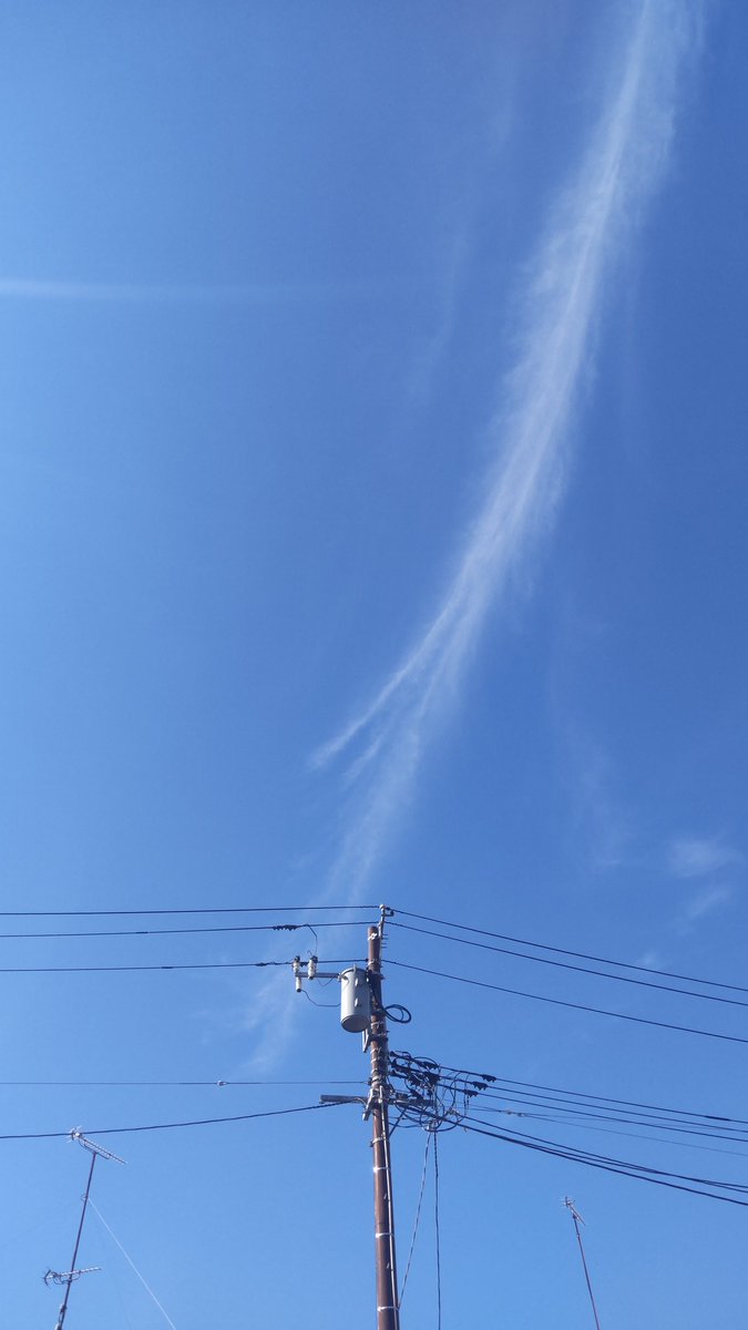jun_jun_hawks's tweet photo. 今朝のそら
流れ星の後みたいな空
今日は暑くなりそう。

#いまそら #空ネット https://t.co/G41qwb8b7J