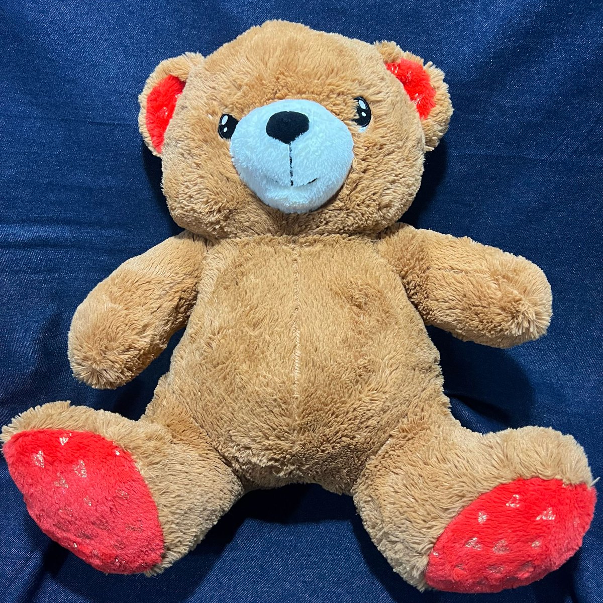 PlushophileShop's tweet photo. Wave goodbye and safe travels to this adorable, cuddly little brown bear. They have been adopted and are headed to their new furever home! Find your favorite new stuffy at https://t.co/UB6KhIuBuP. We ship worldwide.  #plushophile #stuffylove #stuffedbear https://t.co/iGd46JQnpS
