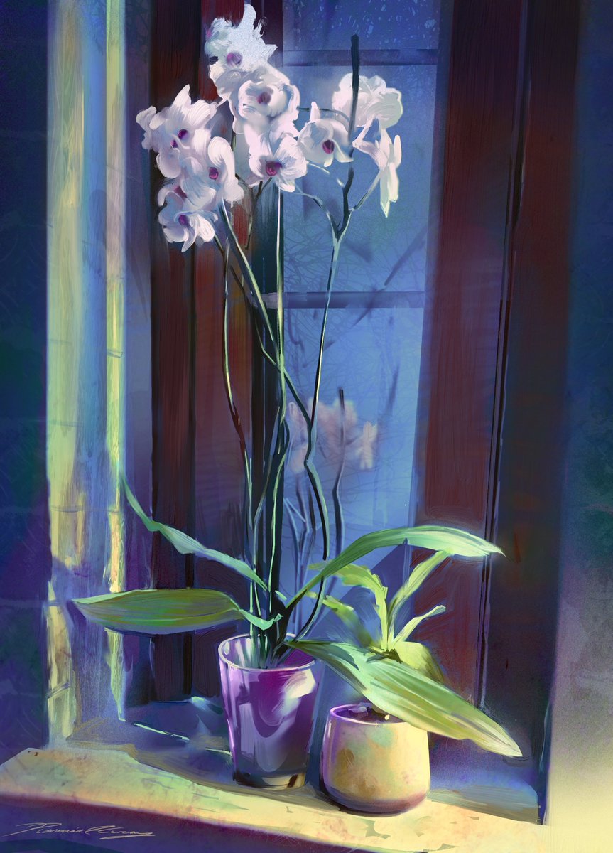 Romain_HurayArt's tweet photo. Daily painting 3
It's likely that your shadows aren't blue enough :)
#visualdevelopement #visdev #stilllifepainting #layout #digital2d https://t.co/jzQGPge95a