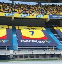 Miguel_GJRC's tweet photo. ULTIMA HORA 🚨⚠️ | acabo de encontrar la camiseta de Luis Díaz https://t.co/D6jrYiVKhl