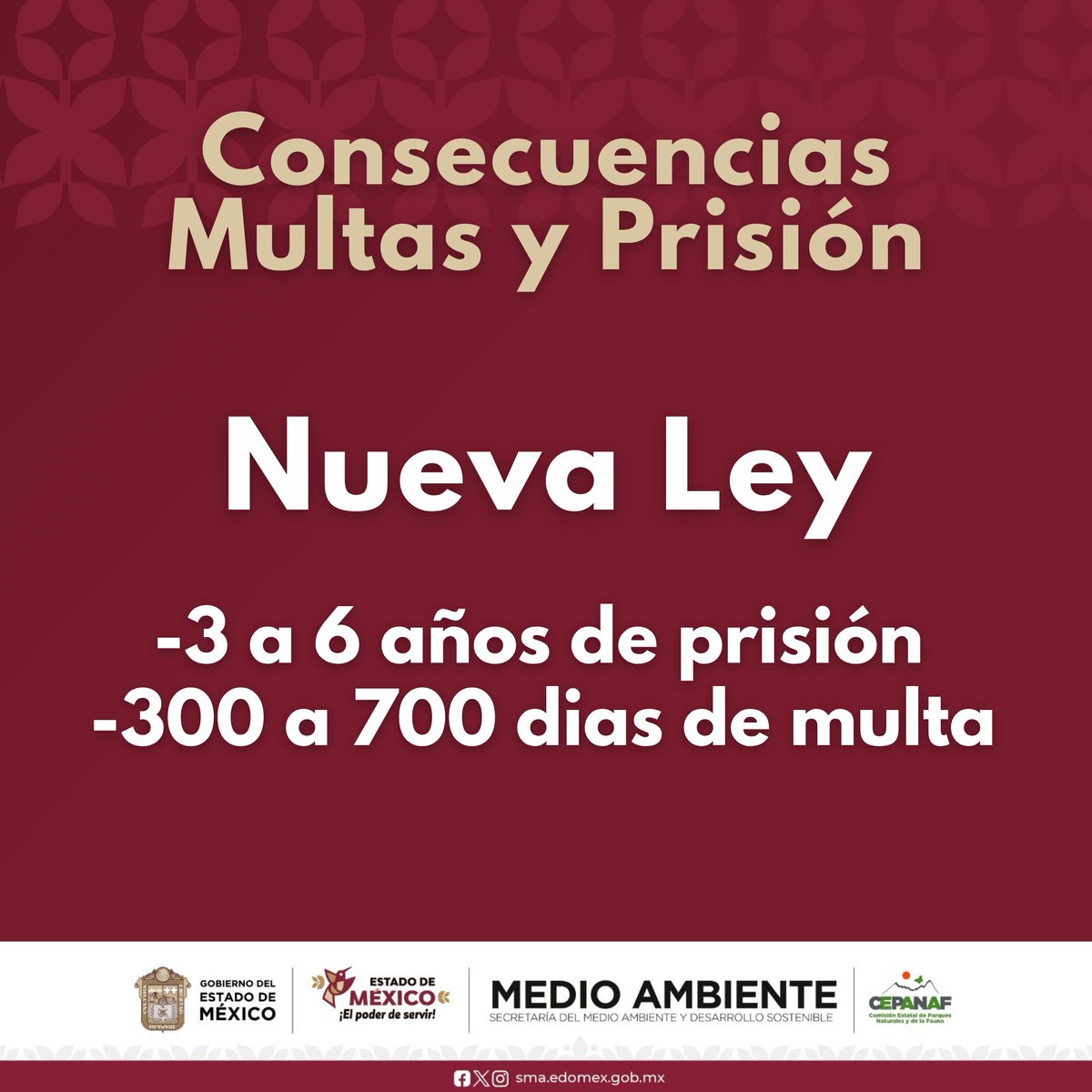 BienAnimalEdMex's tweet photo. Tener un #SerSintiente implica responsabilidades.
Negarle alimento o agua suficiente y adecuada afecta su salud, su bienestar y puede constituir una forma de #MaltratoAnimal. Ellos dependen de nosotros para vivir con dignidad.
Cuidarlos no es un favor, es una obligación. https://t.co/d4Kt2uhtW4