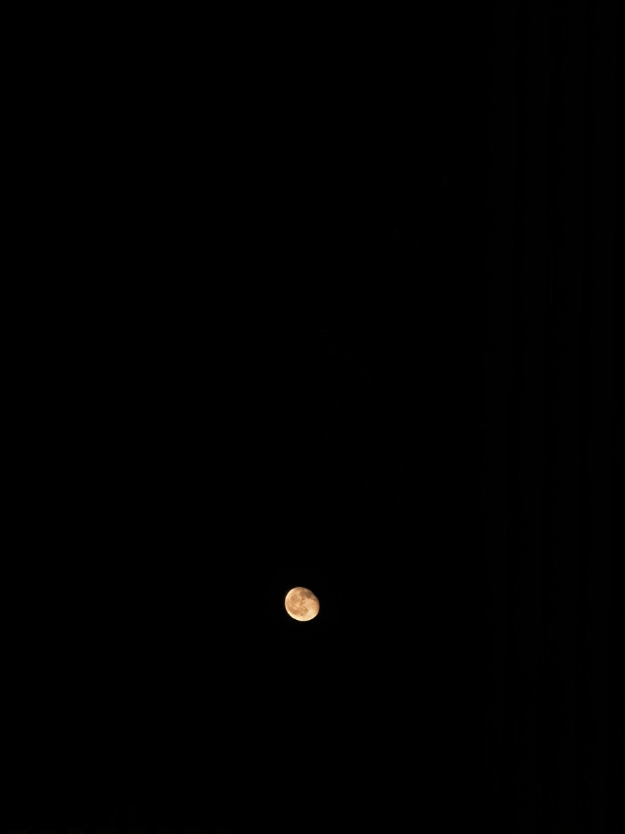 _marbc's tweet photo. 🌖 https://t.co/bEqOk3mwrz
