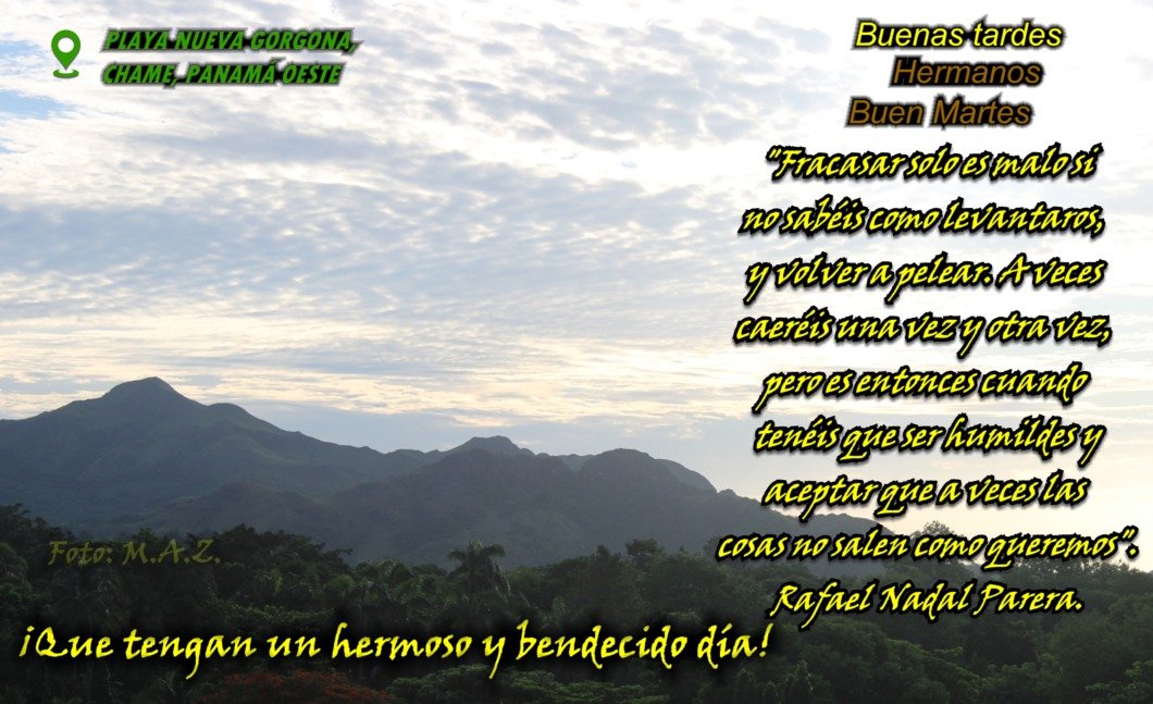 residpalmarview's tweet photo. #BuenMartes. "Fracasar solo es malo si no sabéis como levantaros. A veces caeréis una vez y otra vez, pero es entonces cuando tenéis que ser humildes y aceptar que a veces las cosas no salen como queremos". Rafael Nadal. Cuídense mucho.  🙏#Panamá #VivaPanamá 🇵🇦 #JuntosporlaPaz💪 https://t.co/tyl8MCCAUD