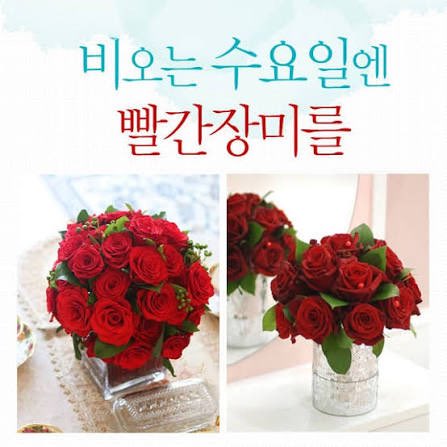 neveragain77's tweet photo. 수욜인데 비가 마니오구 난리여..
#수요일엔_빨간장미를
알쥐? 다들 항개씩  ㅋ

https://t.co/uclVenKSia https://t.co/5WYLr0GMso