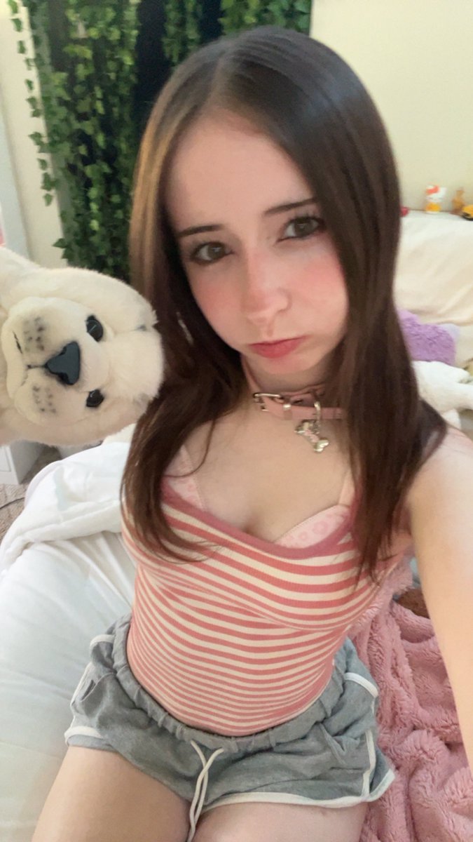 chudipud's tweet photo. new plushies 🦭 first one looks so unc i lov him 𓈒ᩚ(ɞ̴̶̷˙ ̫˙ɞ̴̶̷₌っ)∋ https://t.co/XtvtNjQCsZ