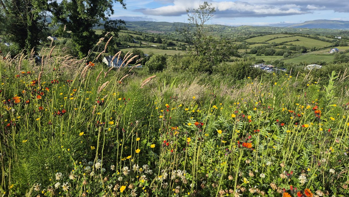 leitrimdevco's tweet photo. Our #LEADER programme is helping to expand &amp; develop visitor numbers &amp; economic activity from tourism in #Leitrim @DeptRCDG @leitrimcoco @shannonsidenews @OceanFmIreland 

There is so much to see &amp; do in #Leitrim @leitrimtourism @LeitrimTNetwork @HeartlandsIRL @wildatlanticway https://t.co/Amf5CIG6DV