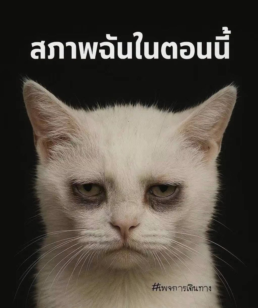 hraphngskhmcd1's tweet photo. https://t.co/aAhQyo6II8