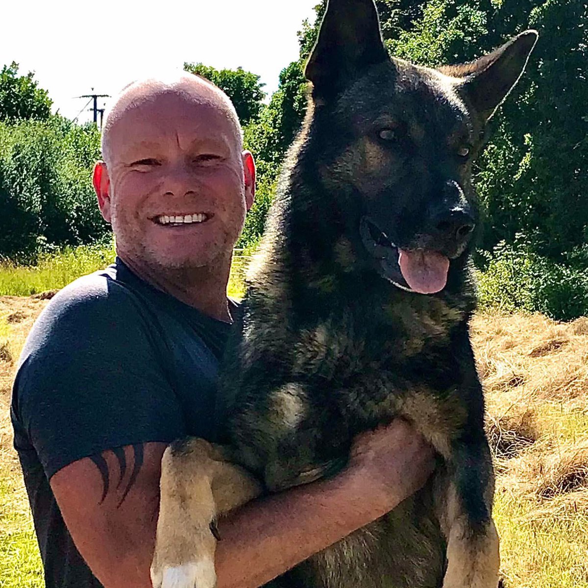 FiresideK9's tweet photo. Thank you for your service and enjoy your retirement! What an amazing achievement! https://t.co/Jef6sXBg54