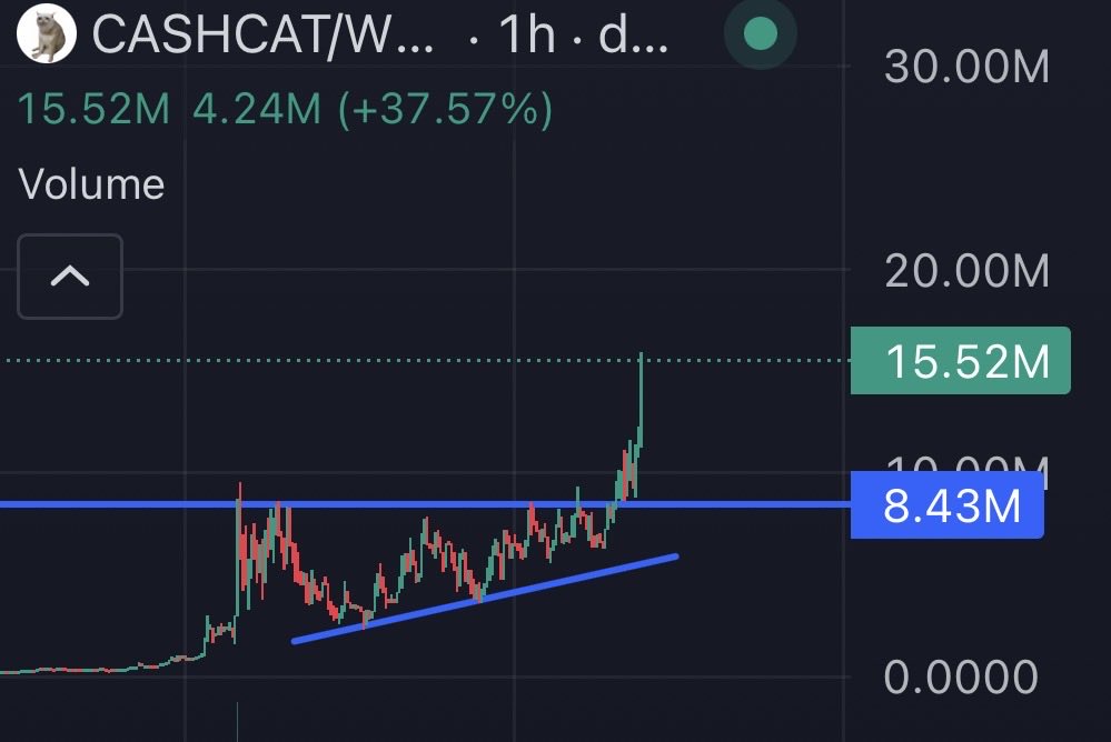 Xanse_crypto's tweet photo. Send it $cashcat https://t.co/aVCziHj19b
