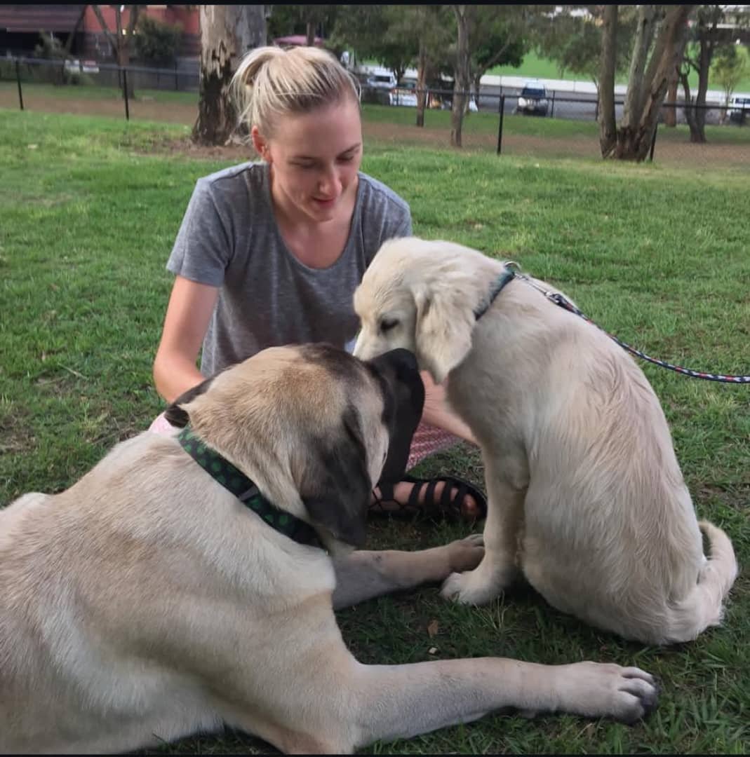 naughtylaur's tweet photo. Chilling with my poodles🐩 🥰
https://t.co/PsRnkJw7M1 https://t.co/EbBzB7cg1i