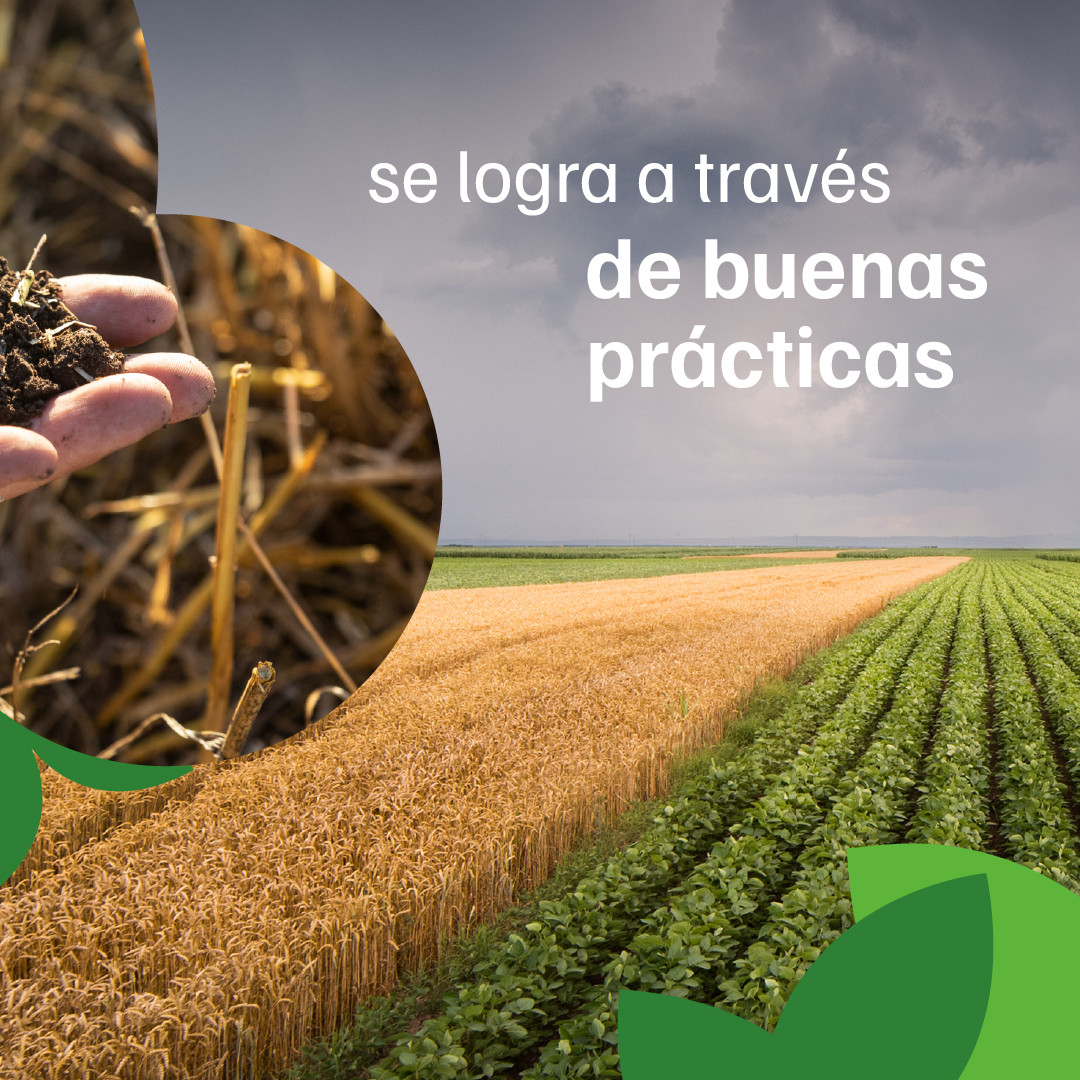 ProfertilAgro's tweet photo. https://t.co/azvVcFFQG1