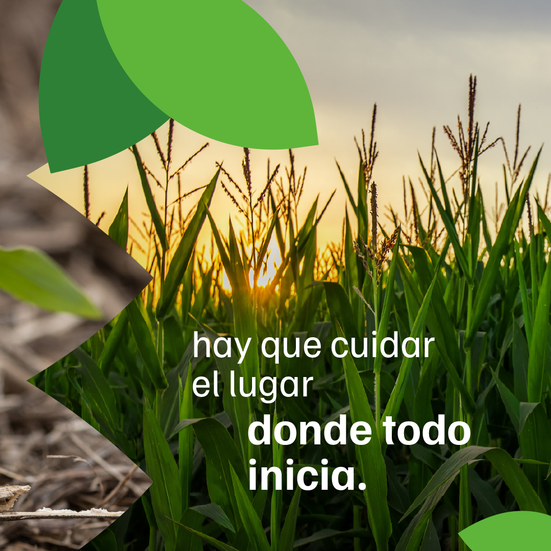 ProfertilAgro's tweet photo. El futuro que se siembra hoy comienza cuidando la salud de nuestro recurso más valioso.

En este día de la Conservación del Suelo, reforzamos el valor de las buenas prácticas y las decisiones conscientes para nutrir la tierra que tanto nos da 🌱.

#ConservaciónDelSuelo #Profertil https://t.co/FchDbWnCng